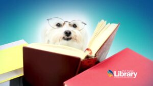 The Library Best Friends 30-second TV B